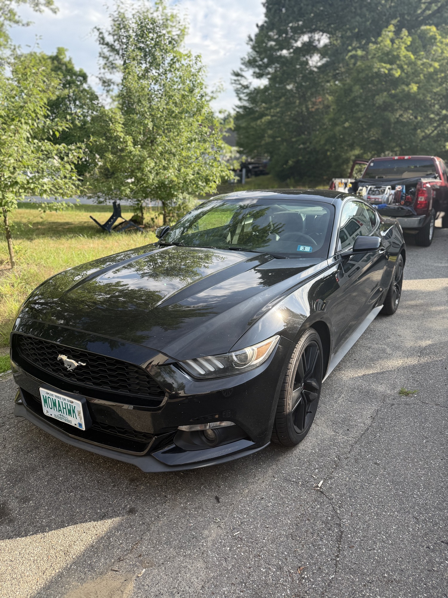 Before exterior detailing Amherst NH — Ford Mustang paint before detail